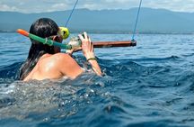 Lovina Dolphin Watching, Swimming, and Snorkeling Experience