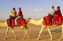 Premium Evening Desert Safari Dubai with Camel Ride & BBQ Dinner