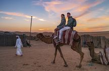 Dubai Desert Safari - Premium BBQ Dinner, Camel Ride & Shows