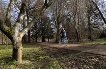 Guided Cycle Tours of Cardiff
