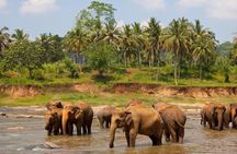 Bangkok: Safari world & Marine park 