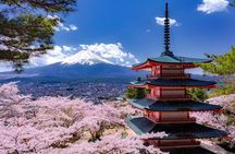 Mt. Fuji one day Private tour from tokyo with English guider