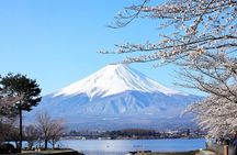 Mt. Fuji one day Private tour from tokyo with English guider