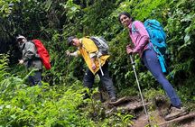 Private One-Day Trek to Mount Kilimanjaro