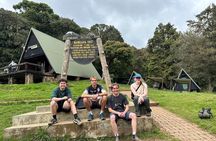 Private One-Day Trek to Mount Kilimanjaro