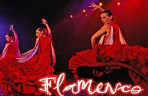 Flamenco Show at the Coliseo theater in San Miguel