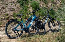 Half Guided e-bike tour with lunch break