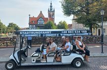 Gdansk: Private City Sightseeing Tour by Buggy/Cart LIVE GUIDED