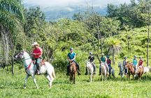 Mega Combo at Hacienda Guachipelin with Waterfall