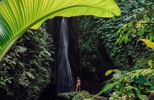 Bali : Northern Bali Private Day Trip with Transfer