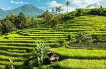Bali : Northern Bali Private Day Trip with Transfer