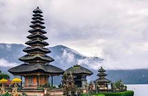 Bali : Northern Bali Private Day Trip with Transfer