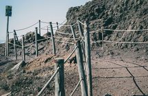 Full Day Tour to Pompeii, Vesuvius and Wine Tasting