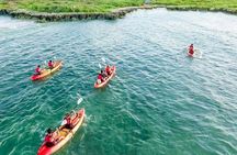  Guided Kayak Tour to Kailua’s Twin Islands