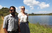 Kandy to Sigiriya and Dambulla Private Day Tour