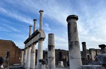 Private Half Day Tour to the Ruins of Pompeii