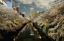 Exciting Evening of Eats in Tokyo