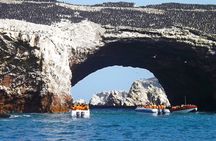 Full Day Tour to Visit Ballestas Islands and Paracas Reserve