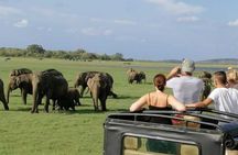 Sigiriya Rock and Jeep Safari Private Tour from Trincomalee