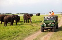 Sigiriya Rock and Jeep Safari Private Tour from Trincomalee