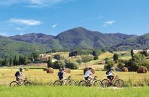 Tuscan countryside bike tour and food tasting
