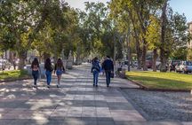 Coquimbo - La Serena City Tour for Cruises