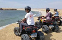 Paracas Reserve - Off Road by Buggy and ATV