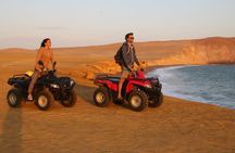 Paracas Reserve - Off Road by Buggy and ATV
