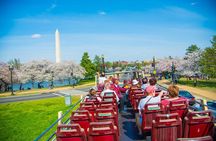 DC: Hop-on Hop-off Sightseeing Tour with Cherry Blossom Views