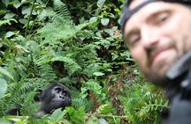 3 Days Private Bwindi Gorillas and Volcanoes Golden Monkey Trek