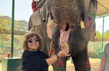 Private 5 Days tour to Delhi Agra Taj Mahal Ranthambore Jaipur