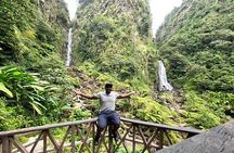 Scenic Tour of City and Rainforest, Waterfall, Sulphur Springs .
