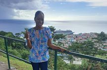 Scenic Tour of City and Rainforest, Waterfall, Sulphur Springs .
