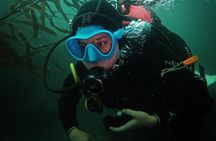 Paracas: Dive Discovery Scuba - Diving in Paracas 