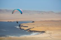 Paracas: Paragliding Adventure Soaring Over Reserve - Parapente