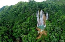 Adventure in Samaná Whale Watching, Limón Waterfall, and More