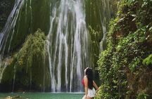 Adventure in Samaná Whale Watching, Limón Waterfall, and More