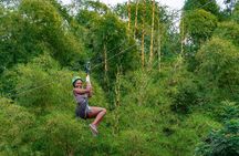 Bambuza ATV, Zipline and Horseback Adventure from Negril