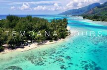 Lagoon Tour + lunch with your feet in the water on a Motu