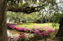 Middleton Place Tour with Lunch and Transportation