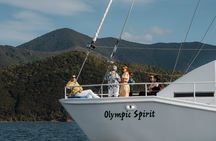 Marlborough Sounds Greenshell Mussel Tasting Cruise