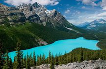 Jasper and Columbia Skywalk Icefield Parkway Private Day Tour