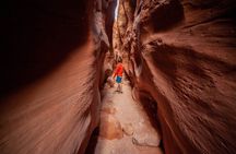 Private Guided Buckskin Gulch Tour Via Wire Pass