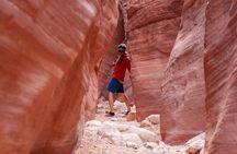 Private Guided Buckskin Gulch Tour Via Wire Pass