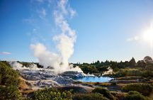 From Auckland: Rotorua Māori Village & Polynesian Spa Tour