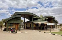 6 Day Safari to Amboseli National Park Lake Nakuru and Masai Mara
