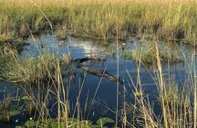 Chobe Day Trip from Victoria Falls