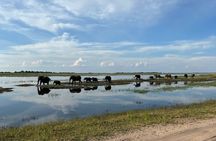 Chobe Day Trip from Victoria Falls
