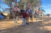 Camel Ride and Barbecue Tour in Agadir