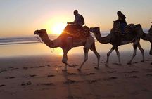Camel Ride and Barbecue Tour in Agadir